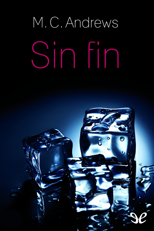 Sin fin