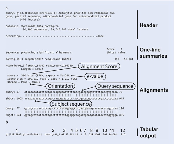 /epubstore/B/C-Bleidorn/Phylogenomics/OEBPS/A332029_1_En_6_Fig9_HTML.jpg