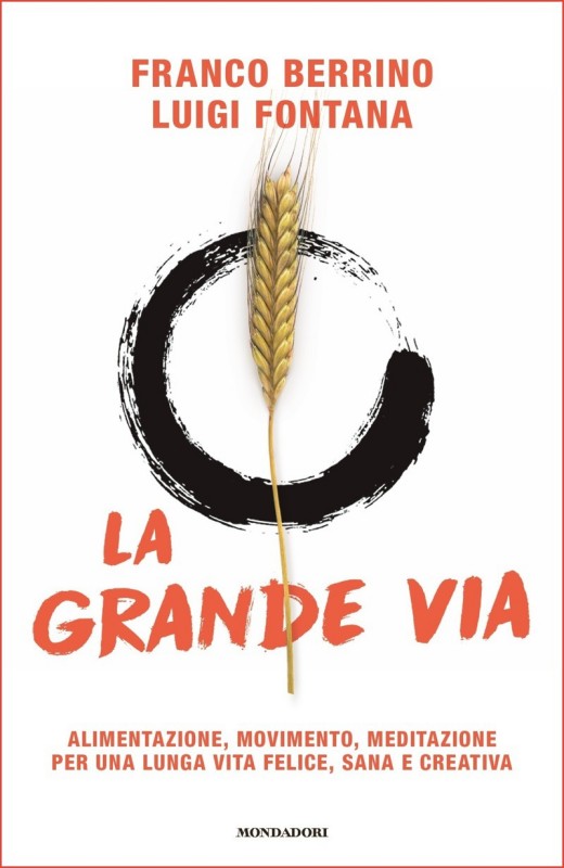 La grande via. Alimentazione, movimento, meditazione