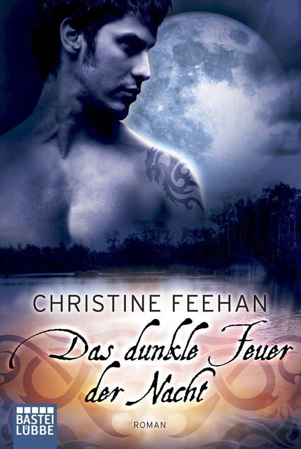 Das dunkle Feuer der Nacht: Roman