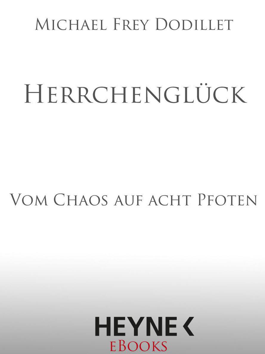 Herrchenglück: Vom Chaos auf acht Pfoten