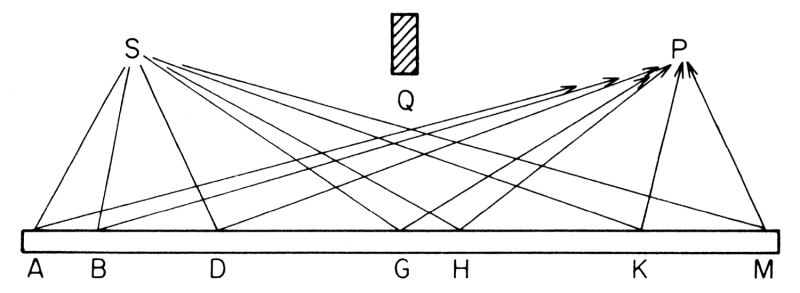 Figura 20