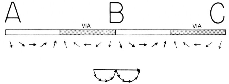 Figura 26