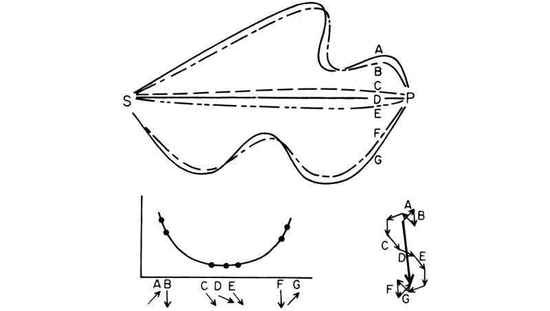 Figura 32