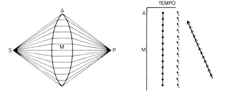 Figura 36