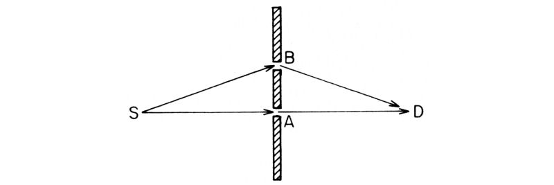 Figura 49