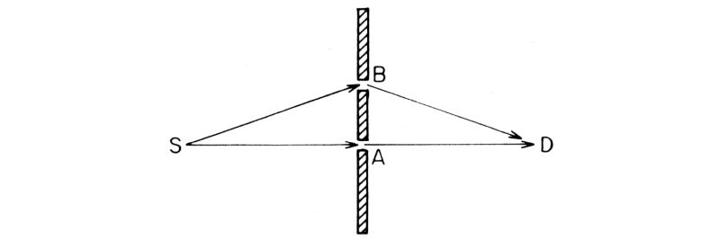 Figura 50