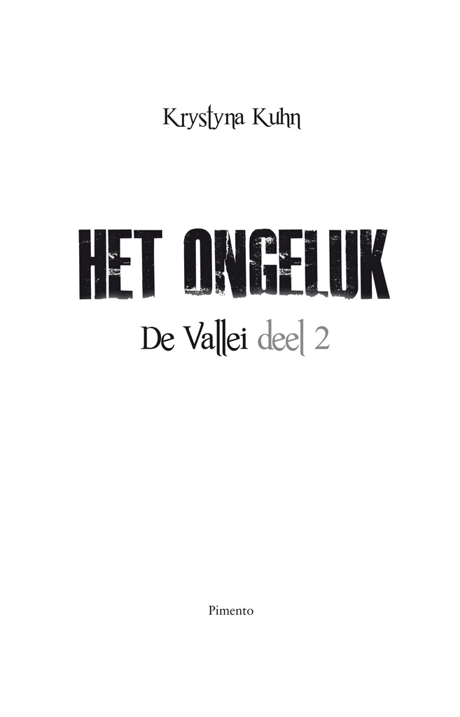 Het ongeluk