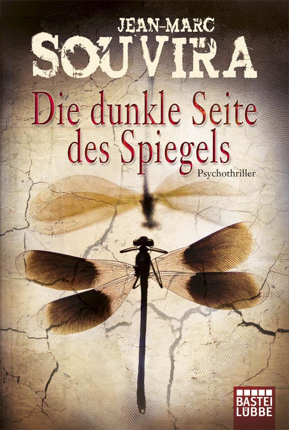 Die dunkle Seite des Spiegels - Thriller