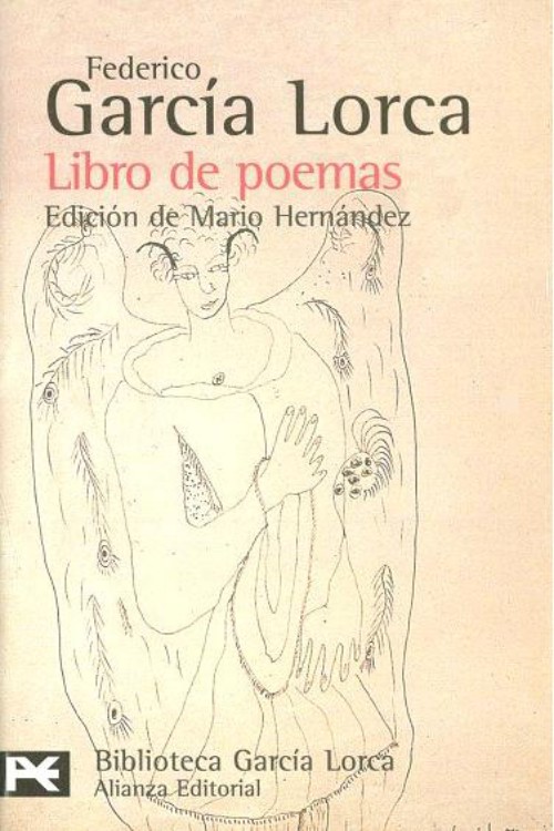 Libro de poemas