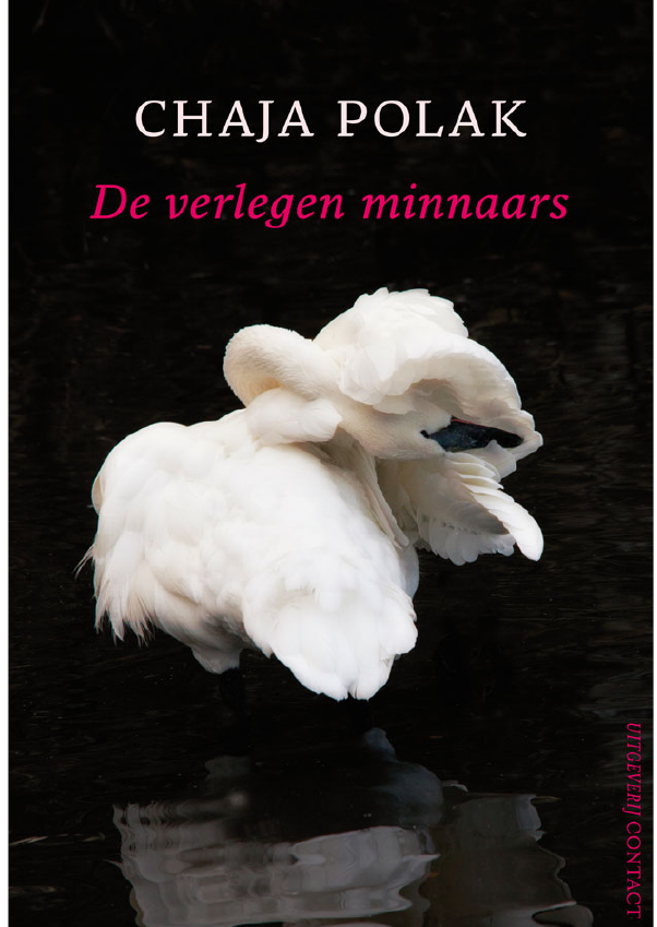 De verlegen minnaars