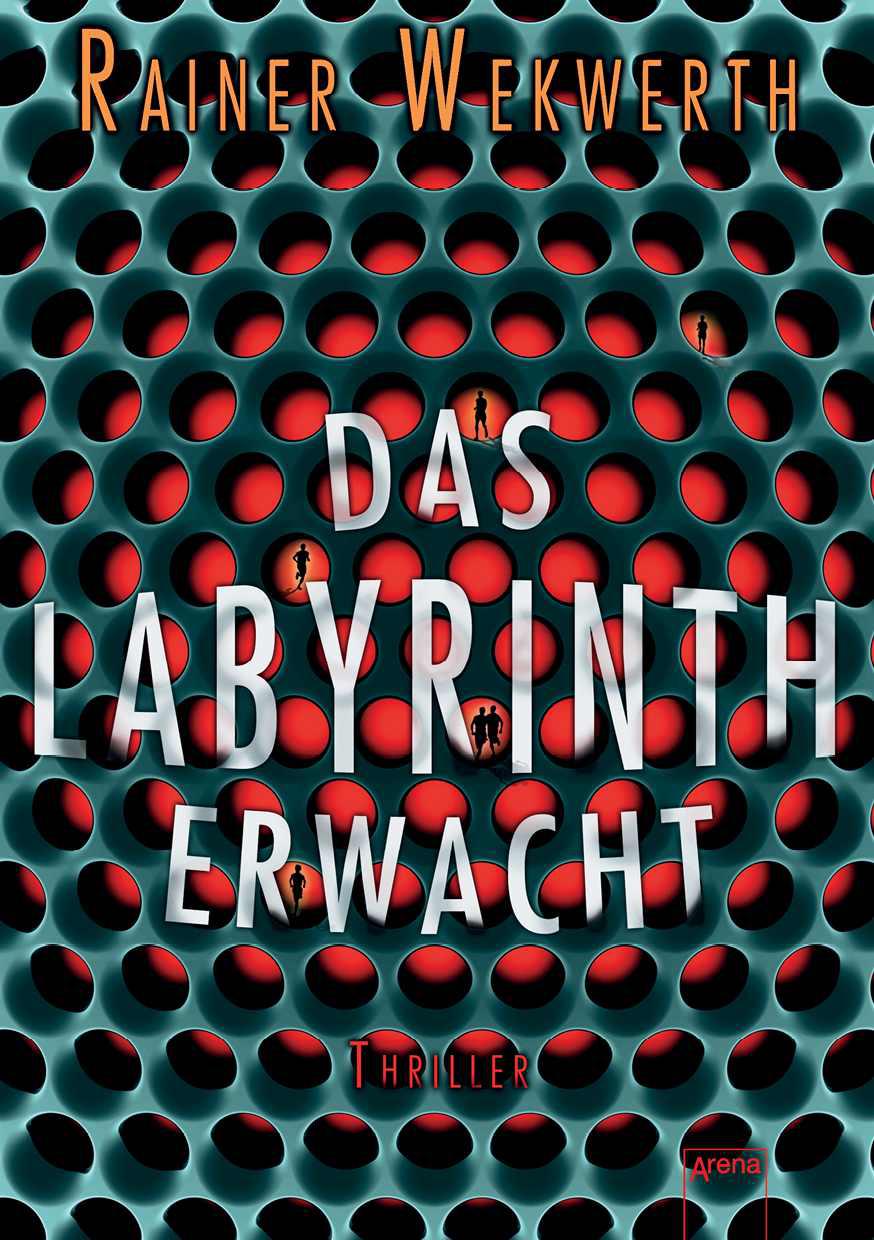 Das Labyrinth erwacht: Thriller