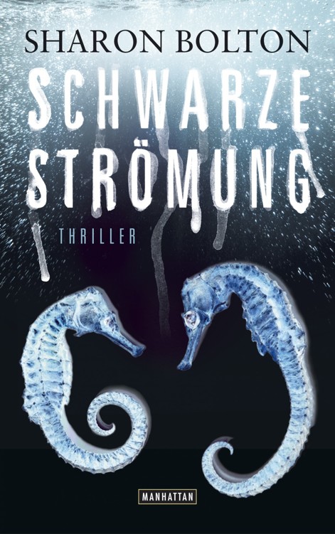 Schwarze Strömung Lacey Flint 4