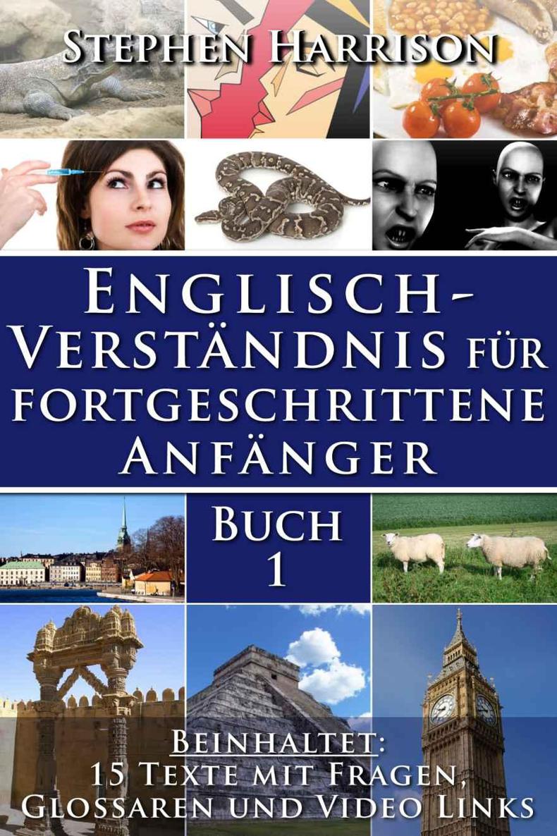 Englischverständnis für fortgeschrittene Anfänger – Buch 1