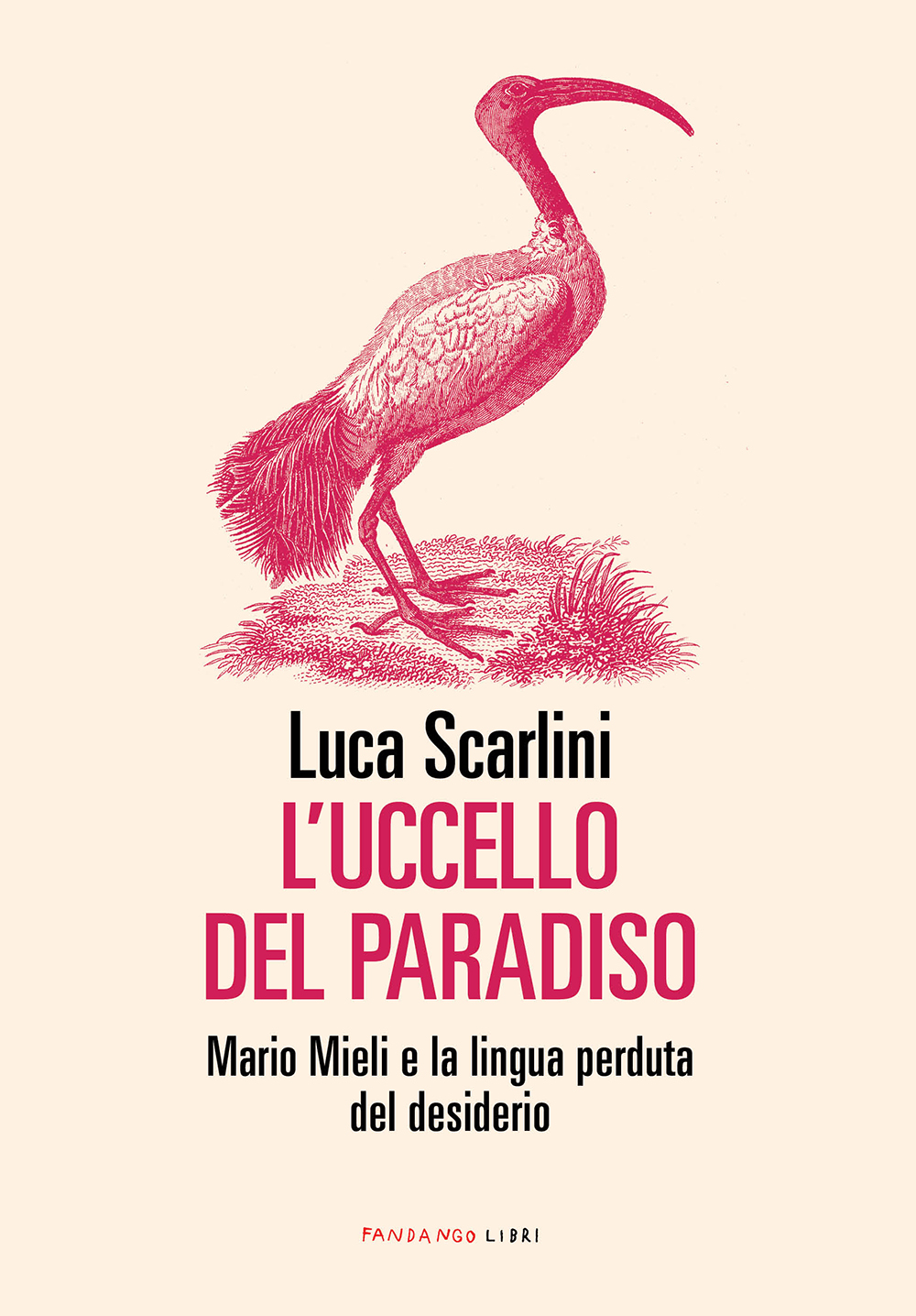 L'uccello del paradiso