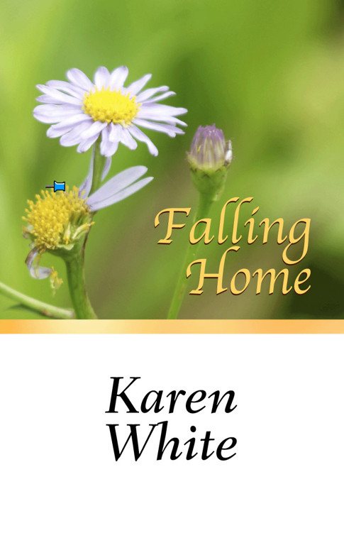 Falling Home