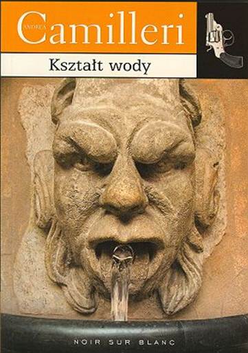 Kształt Wody