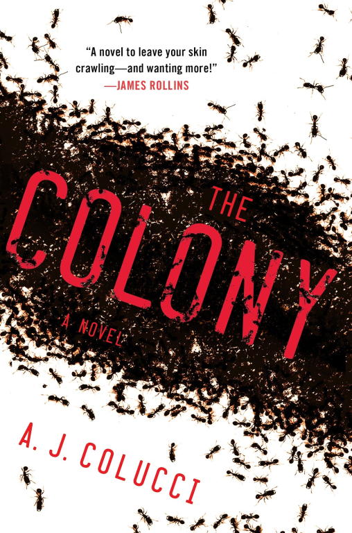 The Colony