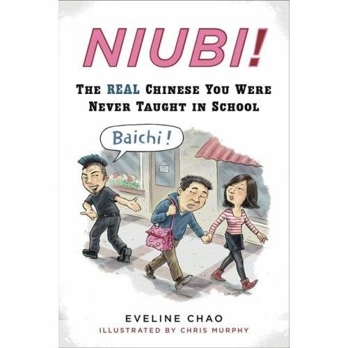 Niubi! The Real Chinese You Were Never Taught in School