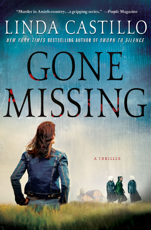 Gone Missing (Kate Burkholder 4)