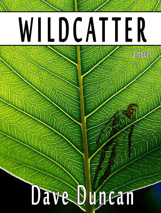 Wildcatter