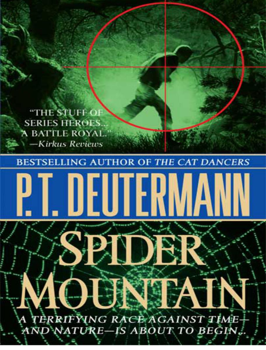 Spider mountain