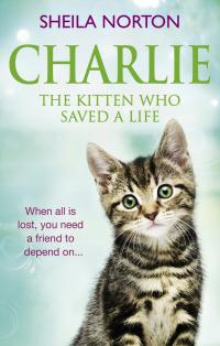 Charlie The Kitten Who Saved A Life