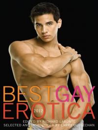 Best Gay Erotica 2012