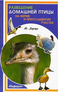 Разведение домашней птицы на ферме и приусадебном участке