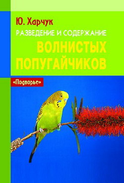 Разведение и содержание волнистых попугайчиков