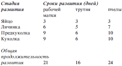 Справочник по домашнему пчеловодству